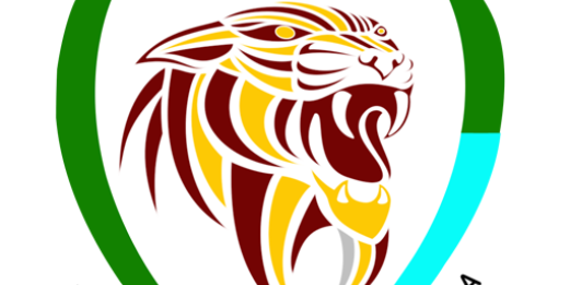 INTRO JAGUARES